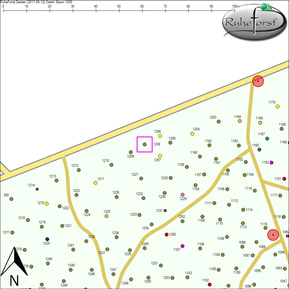 Detailkarte zu Baum 1208