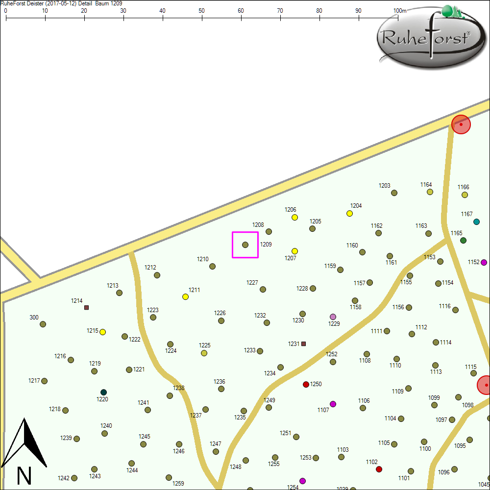 Detailkarte zu Baum 1209