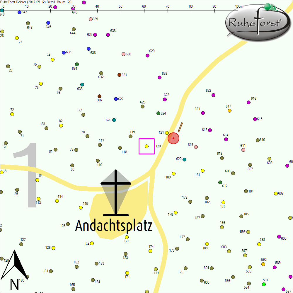 Detailkarte zu Baum 120