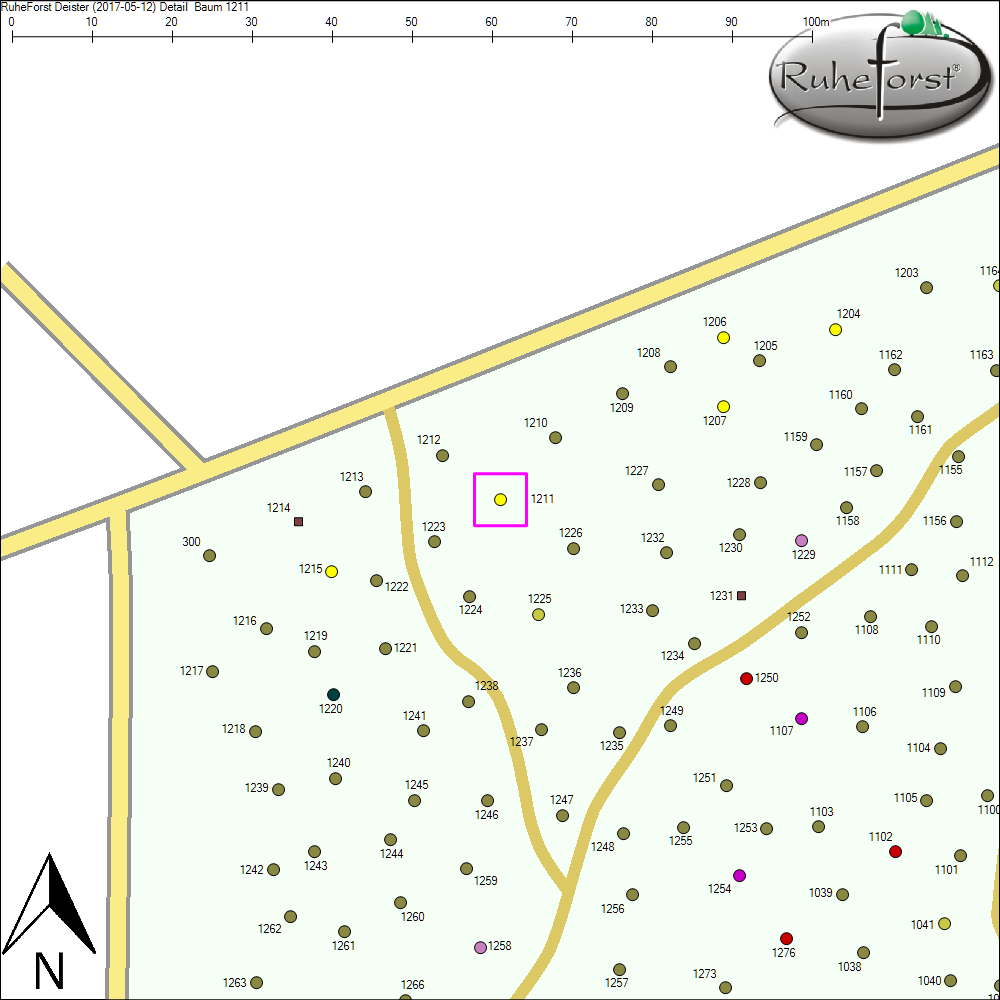 Detailkarte zu Baum 1211
