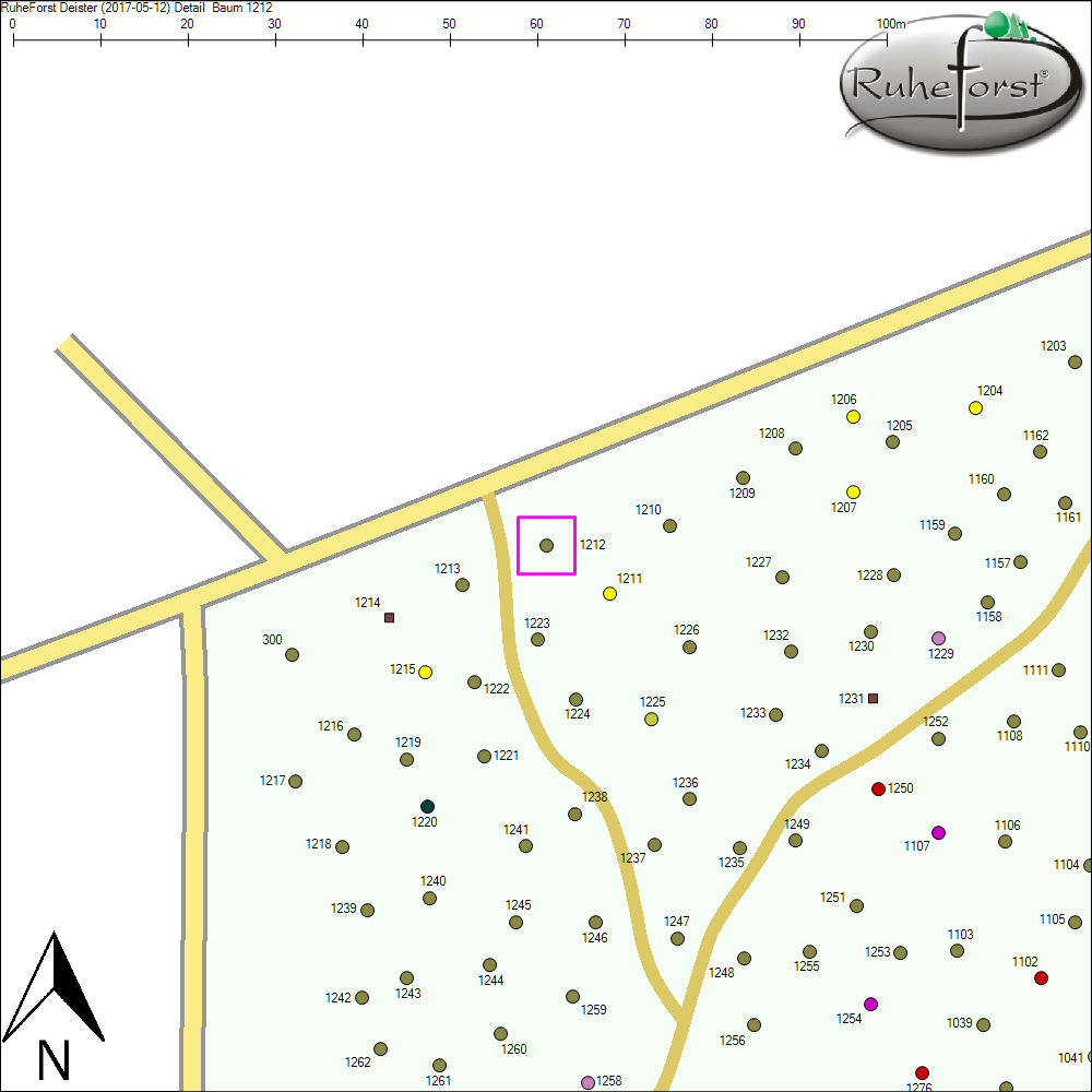 Detailkarte zu Baum 1212