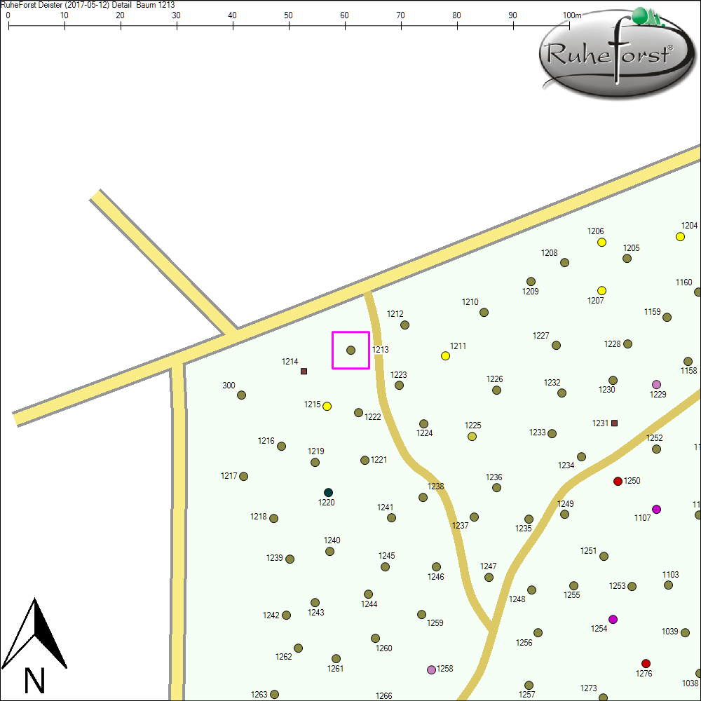 Detailkarte zu Baum 1213