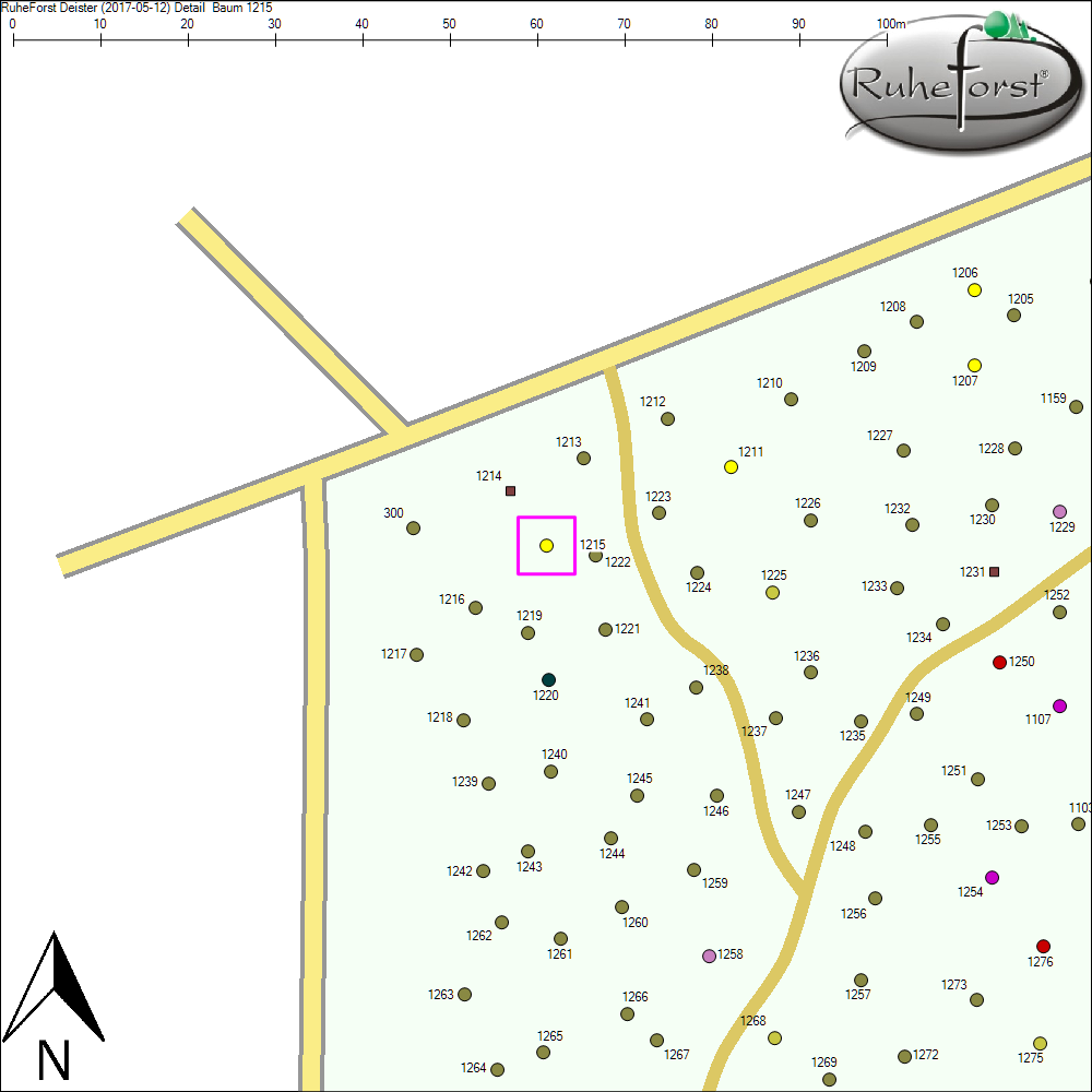 Detailkarte zu Baum 1215