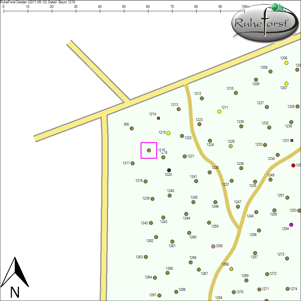 Detailkarte zu Baum 1216