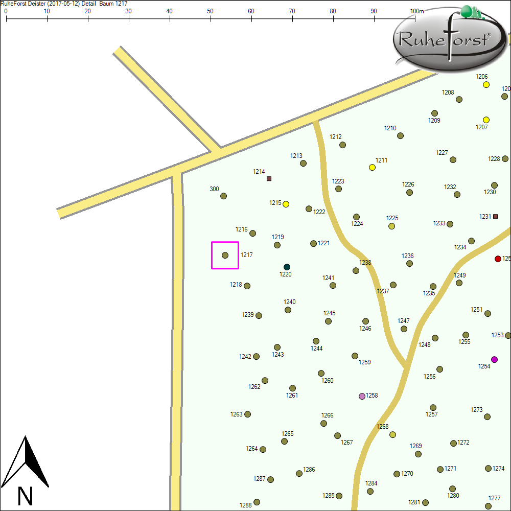 Detailkarte zu Baum 1217