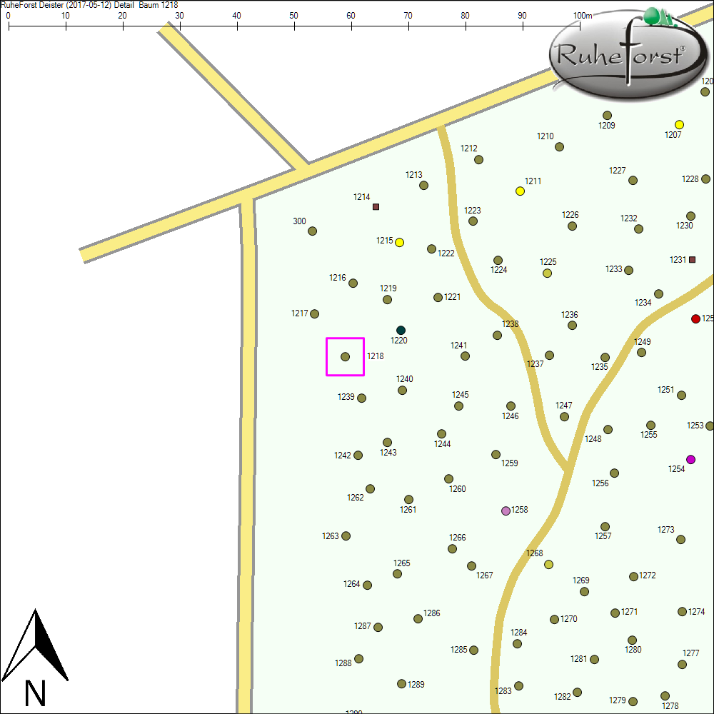 Detailkarte zu Baum 1218