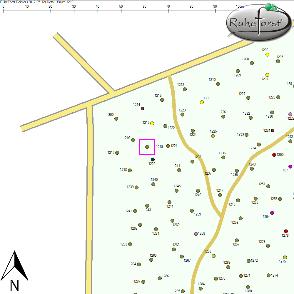 Detailkarte zu Baum 1219