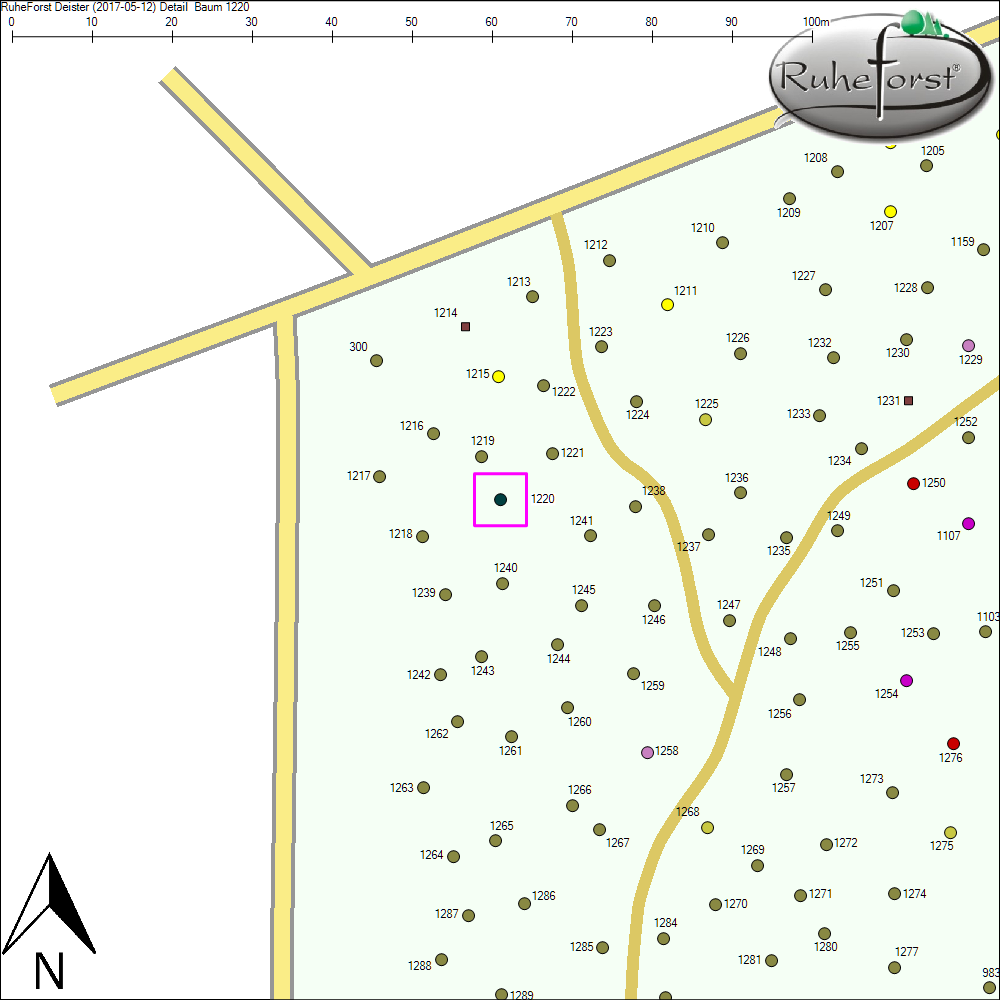 Detailkarte zu Baum 1220