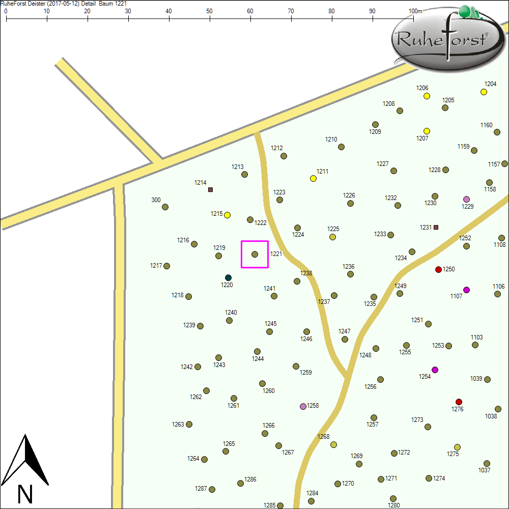 Detailkarte zu Baum 1221