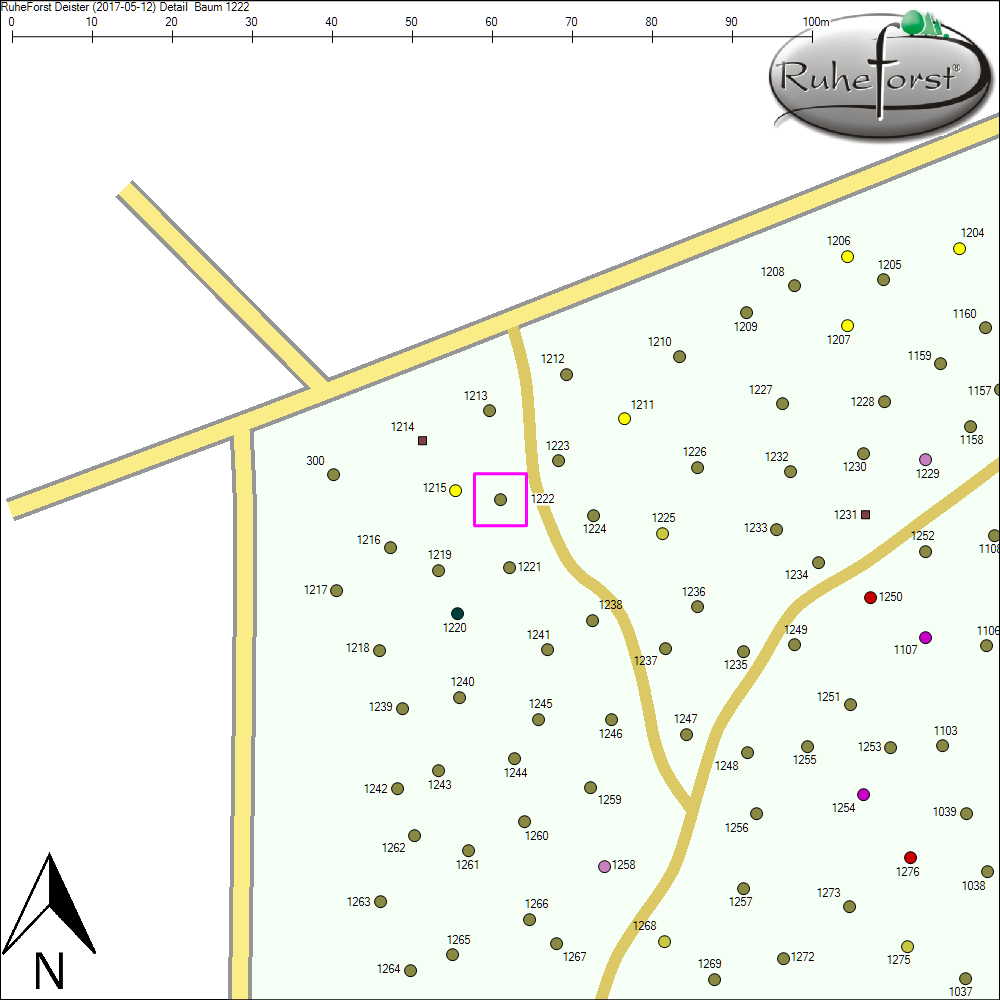 Detailkarte zu Baum 1222