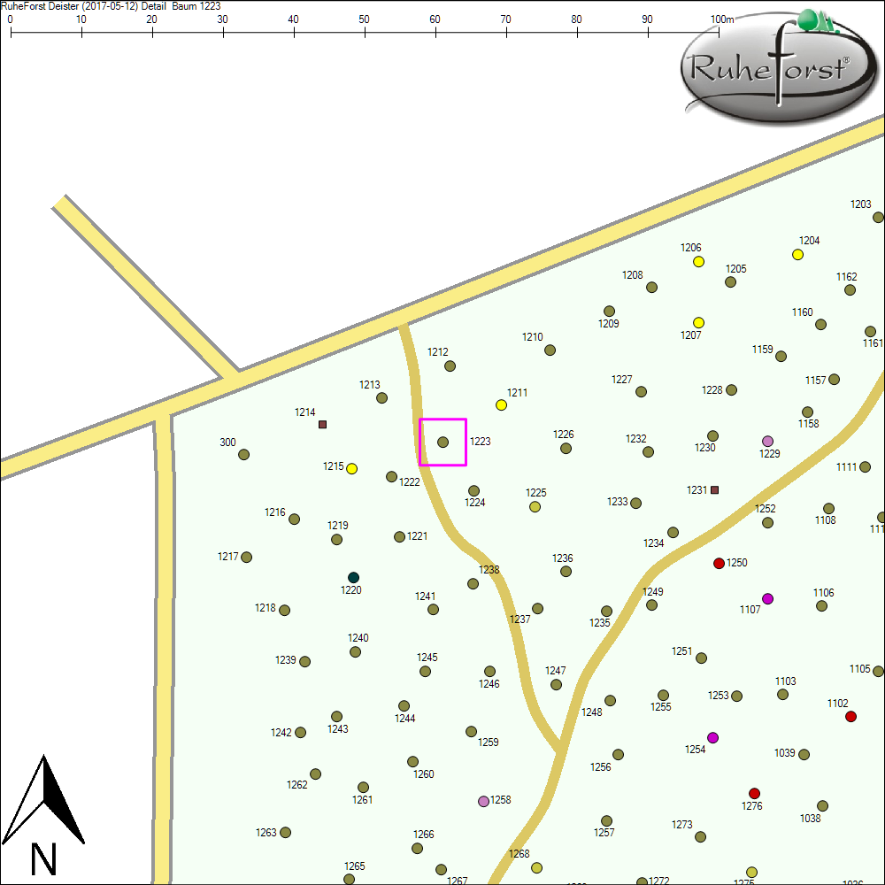 Detailkarte zu Baum 1223