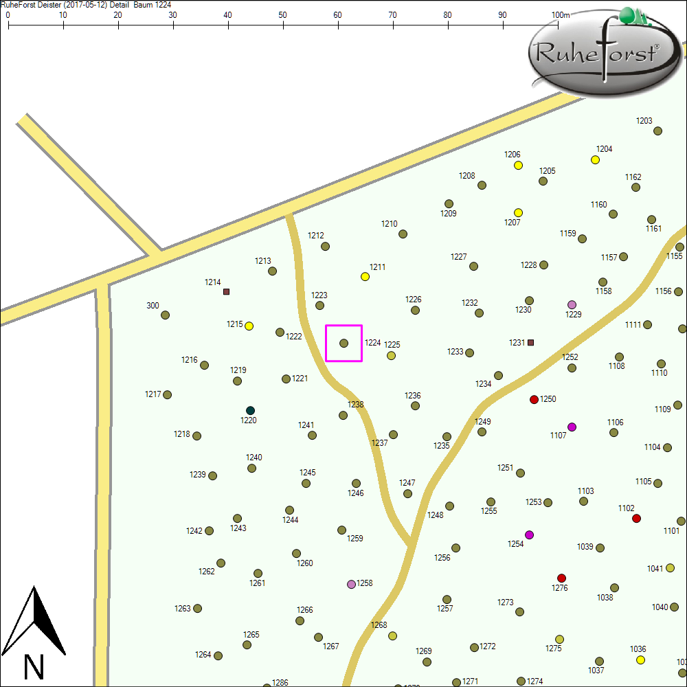 Detailkarte zu Baum 1224