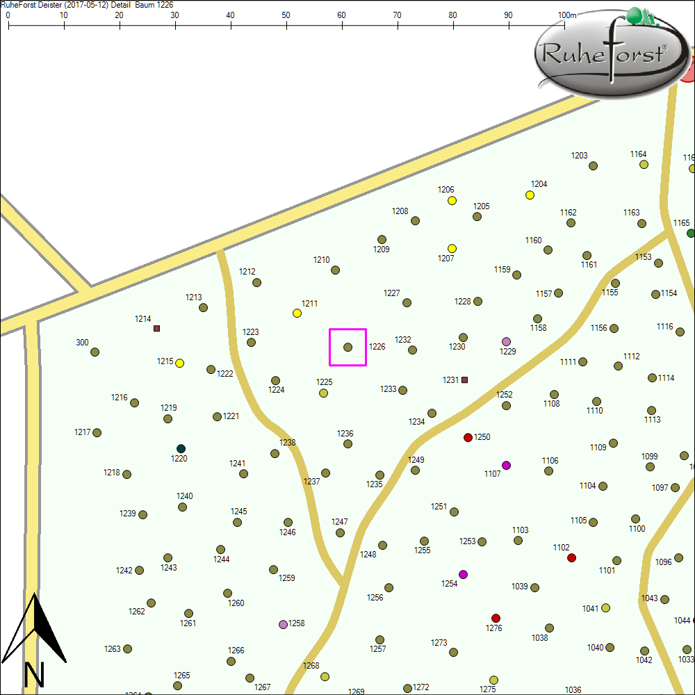 Detailkarte zu Baum 1226