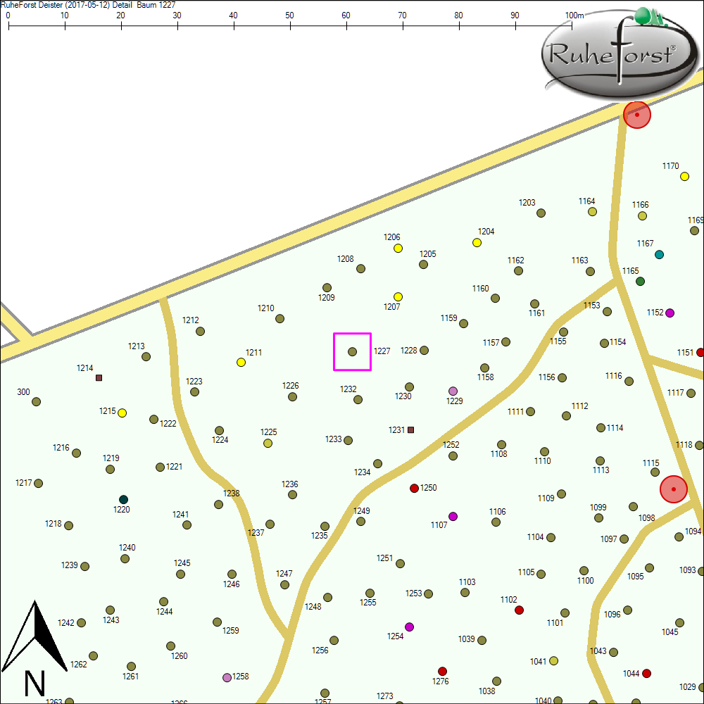 Detailkarte zu Baum 1227
