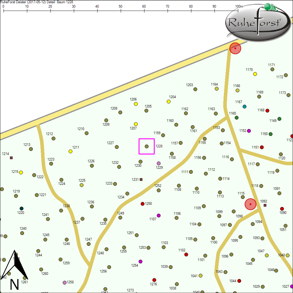 Detailkarte zu Baum 1228