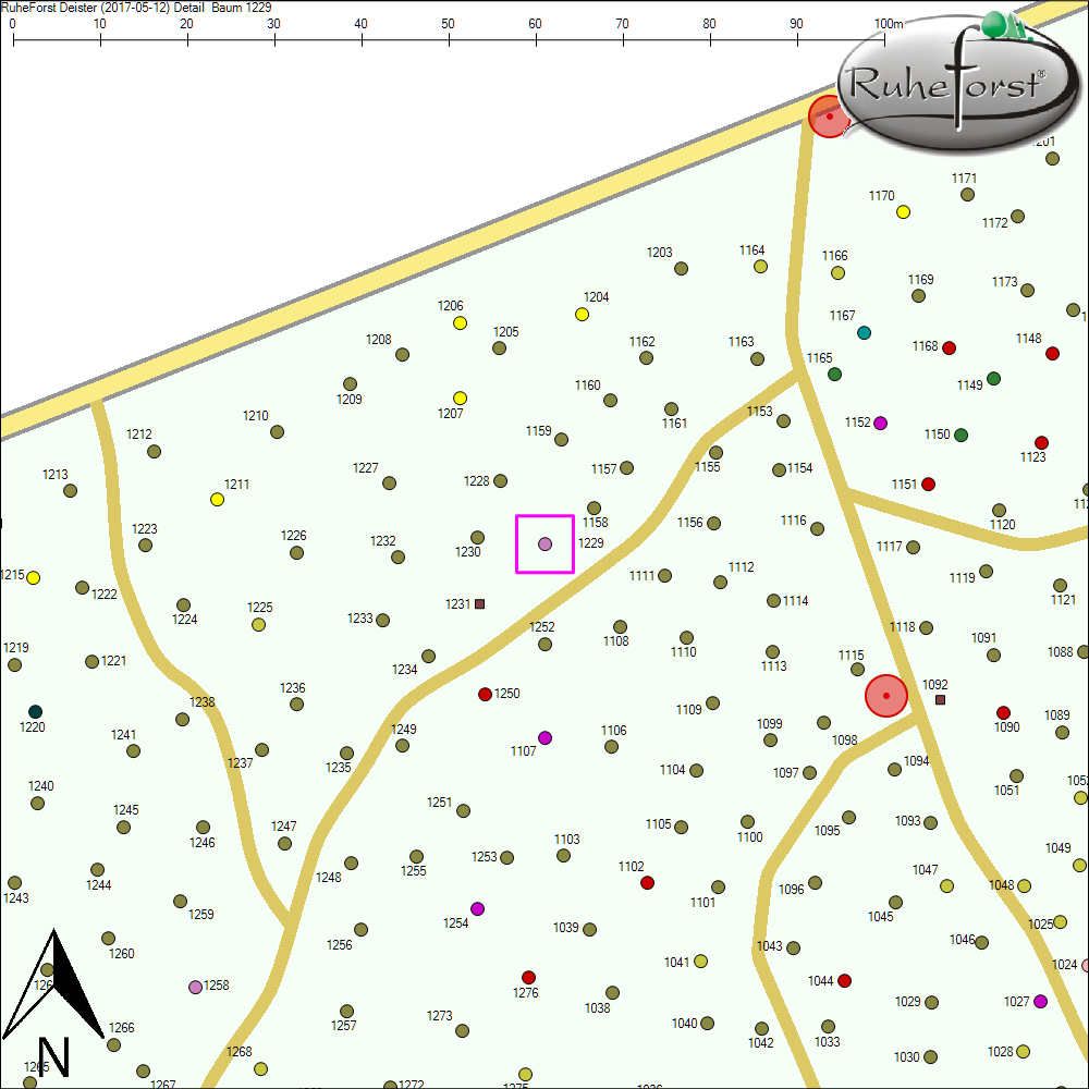 Detailkarte zu Baum 1229