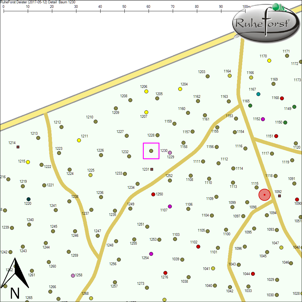 Detailkarte zu Baum 1230