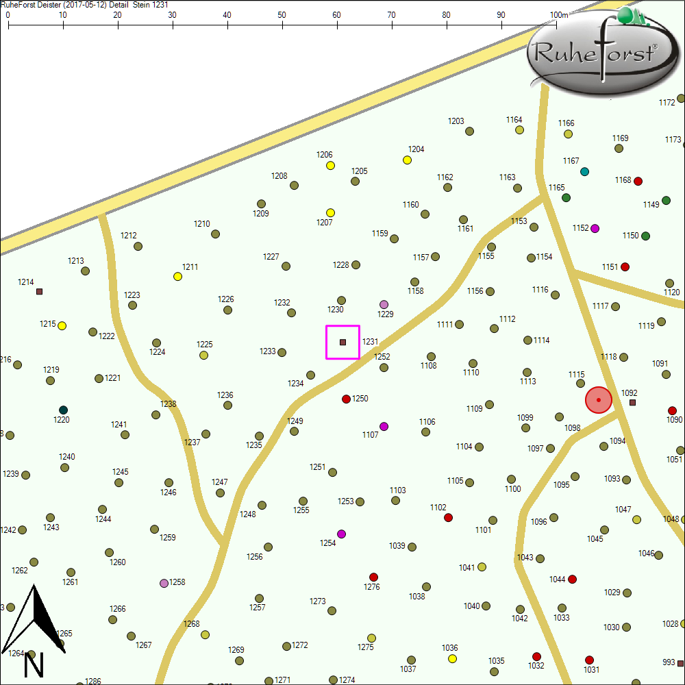 Detailkarte zu Stein 1231