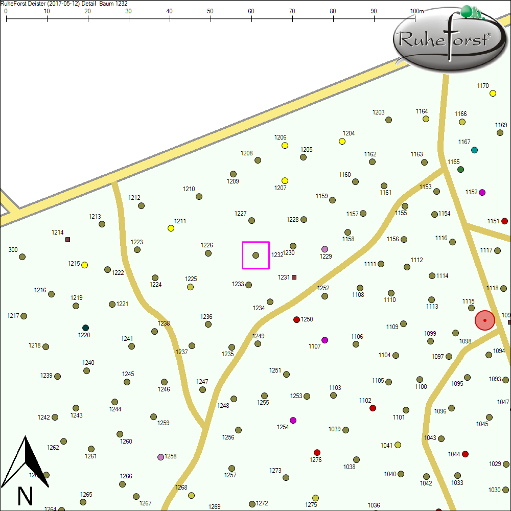 Detailkarte zu Baum 1232