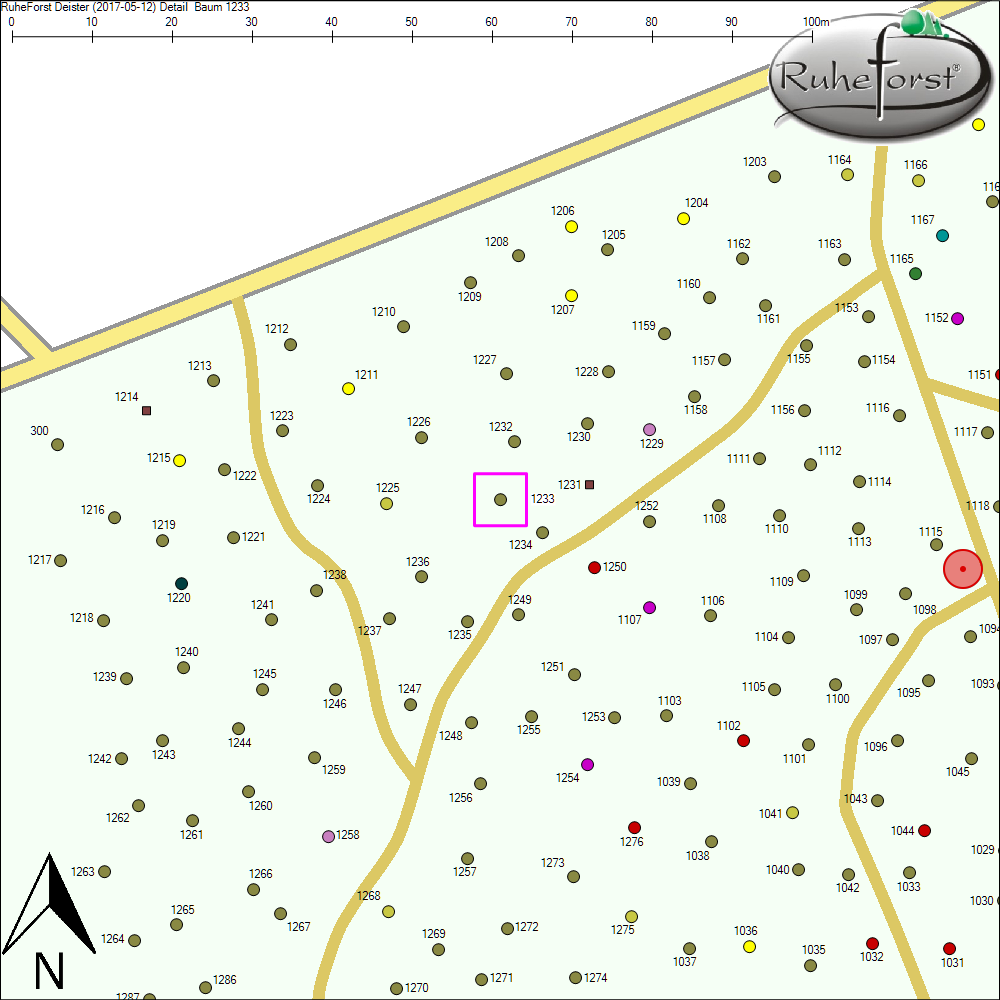 Detailkarte zu Baum 1233