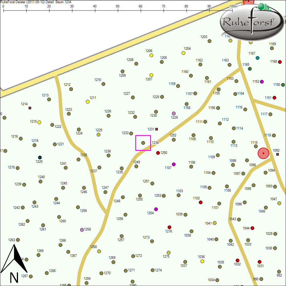 Detailkarte zu Baum 1234
