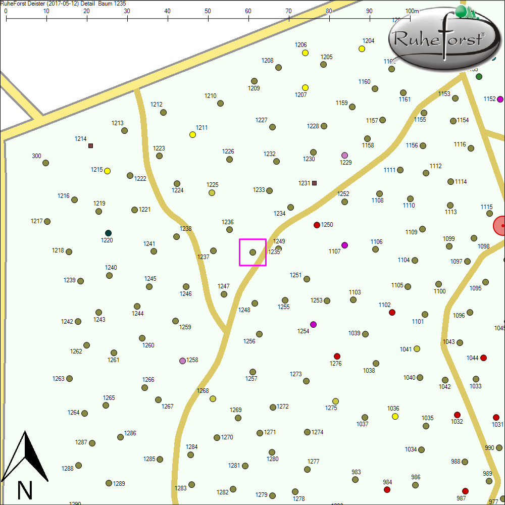Detailkarte zu Baum 1235