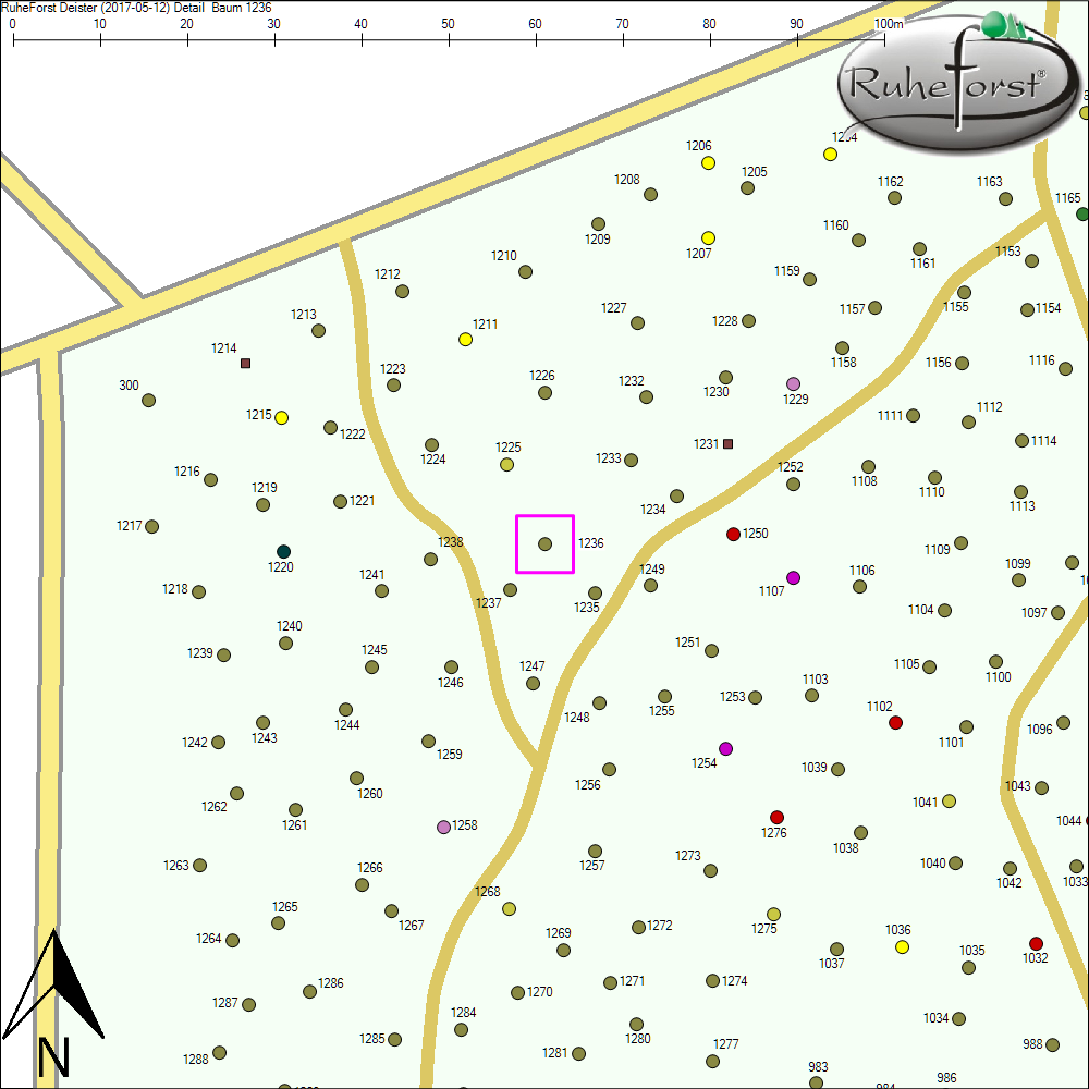 Detailkarte zu Baum 1236