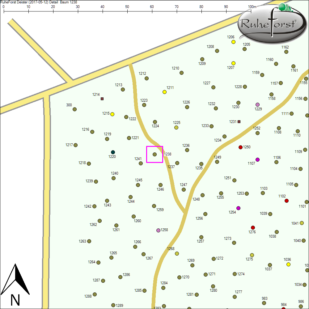 Detailkarte zu Baum 1238
