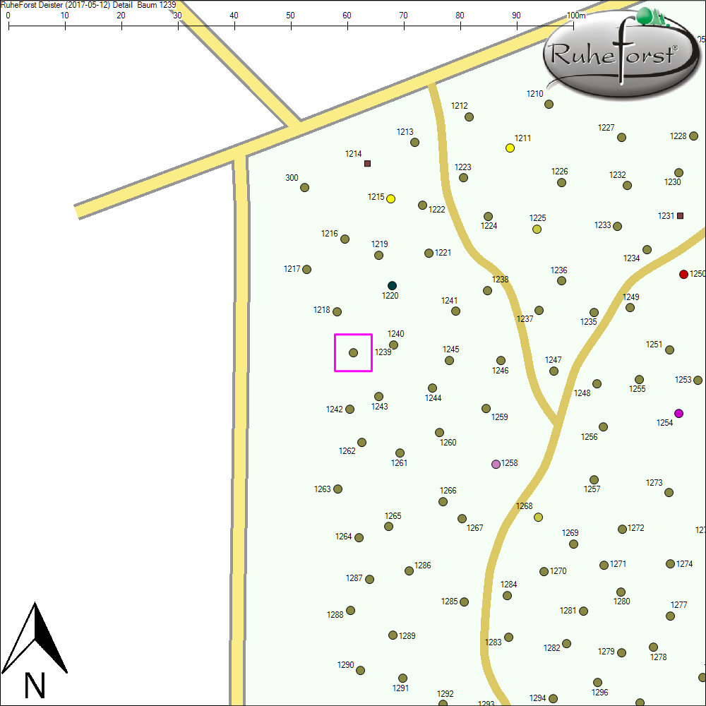 Detailkarte zu Baum 1239
