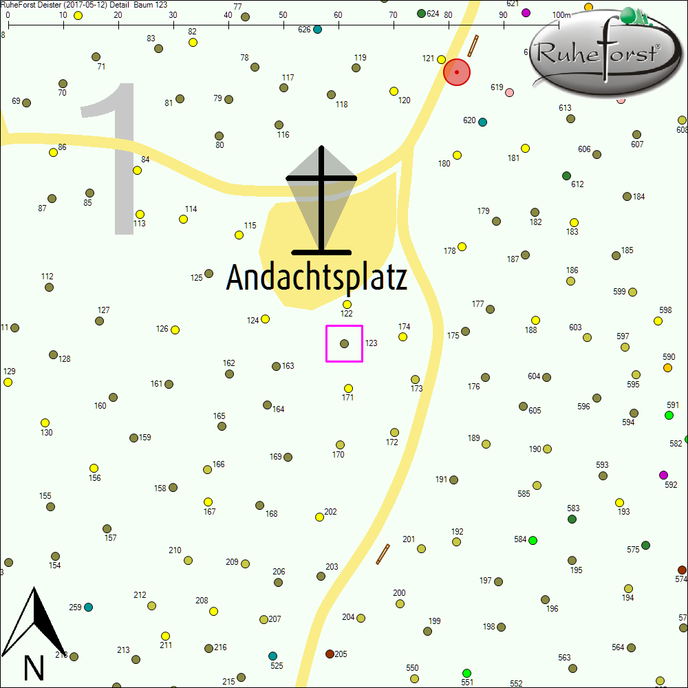 Detailkarte zu Baum 123