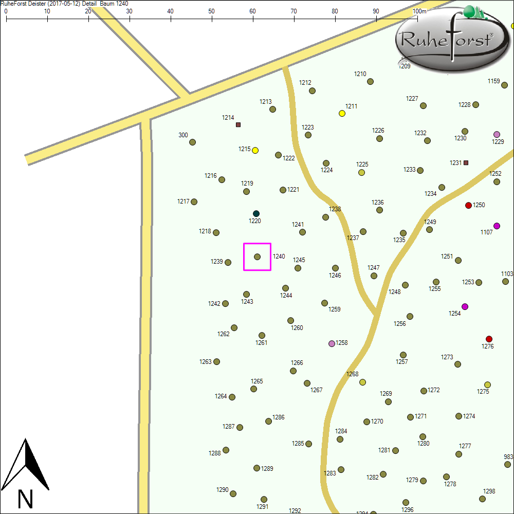 Detailkarte zu Baum 1240