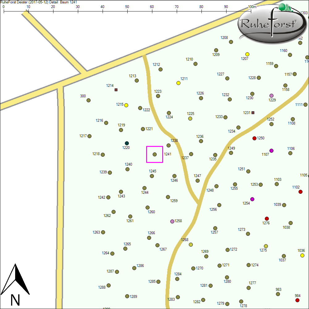 Detailkarte zu Baum 1241