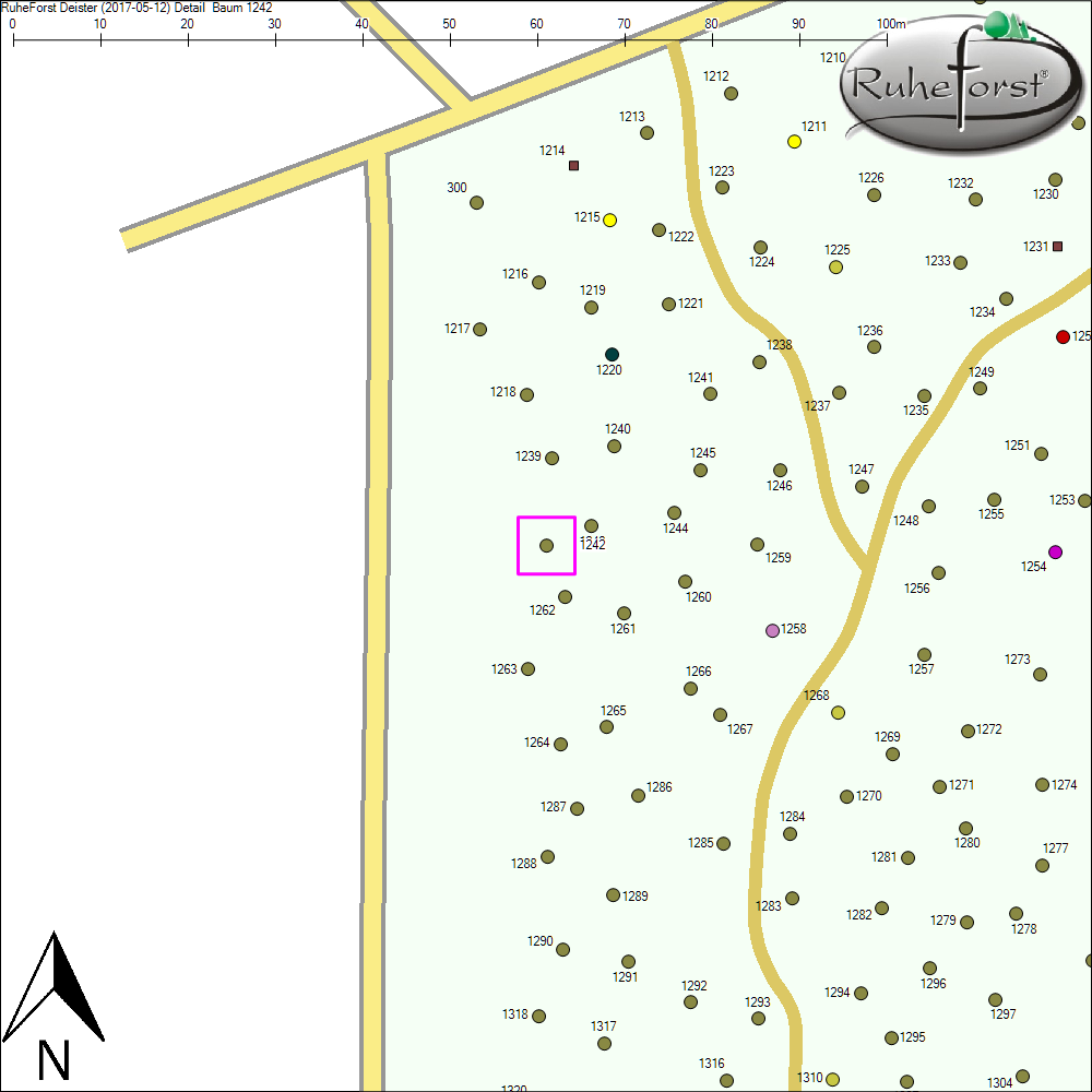 Detailkarte zu Baum 1242