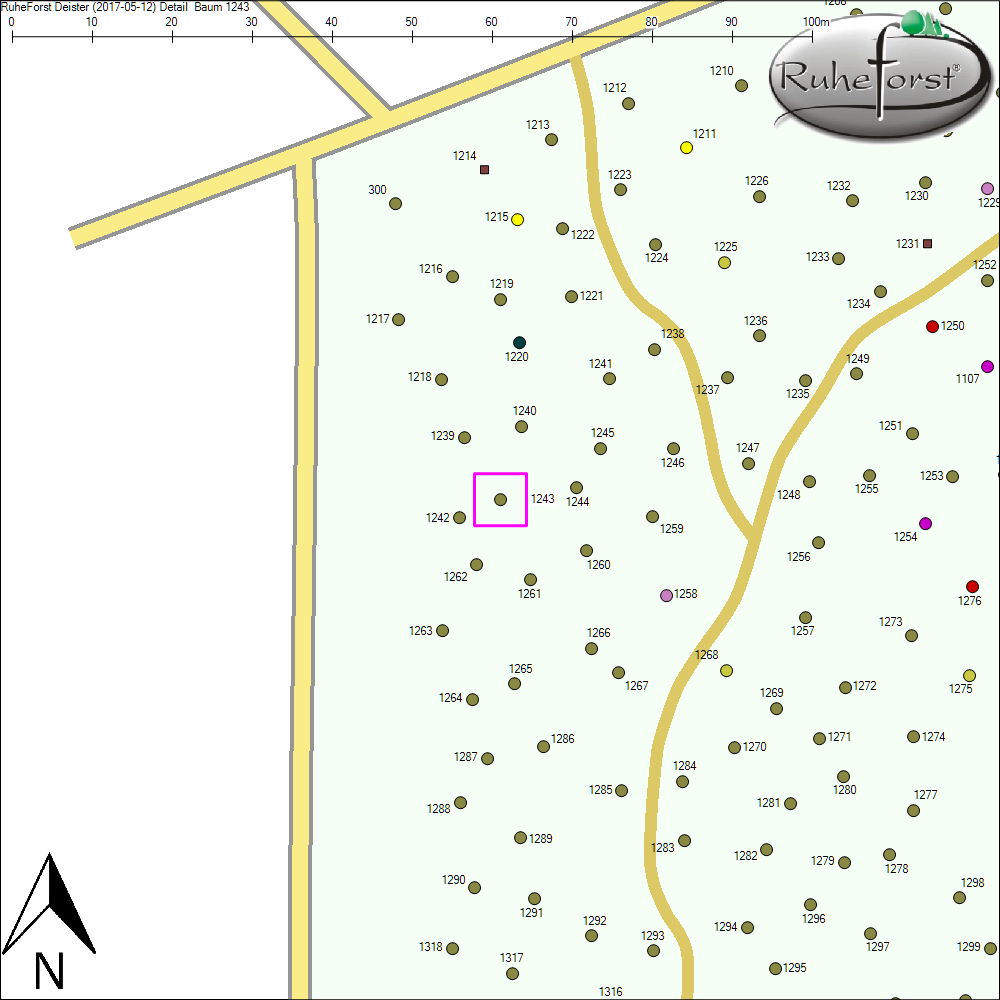 Detailkarte zu Baum 1243