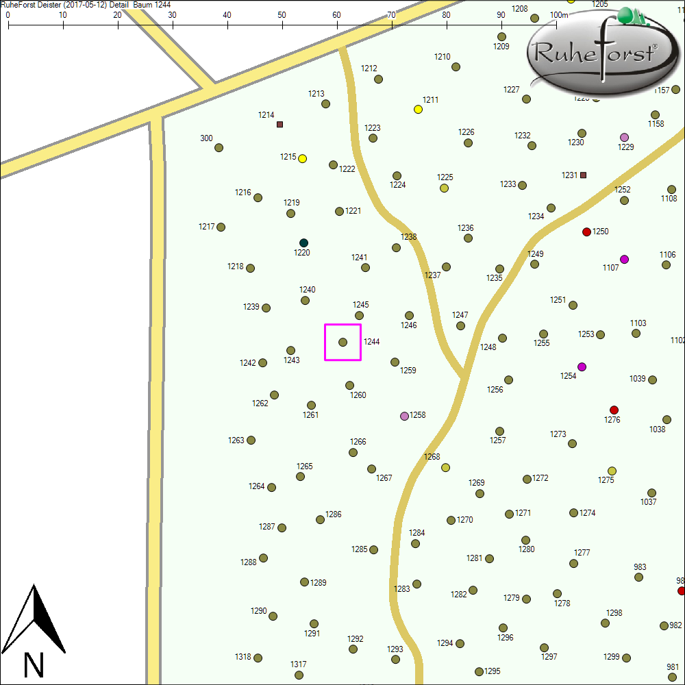 Detailkarte zu Baum 1244
