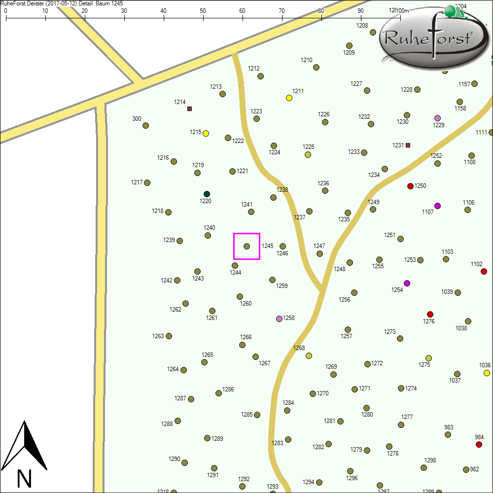 Detailkarte zu Baum 1245