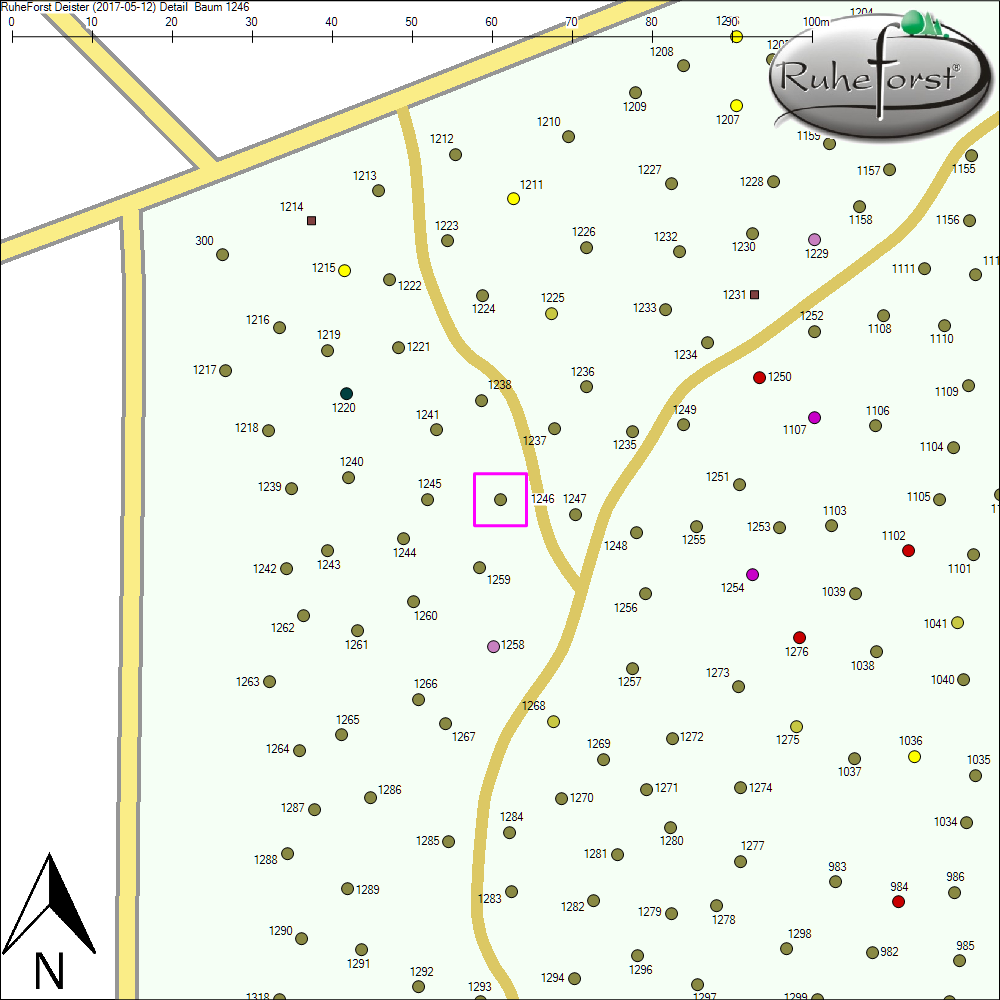 Detailkarte zu Baum 1246