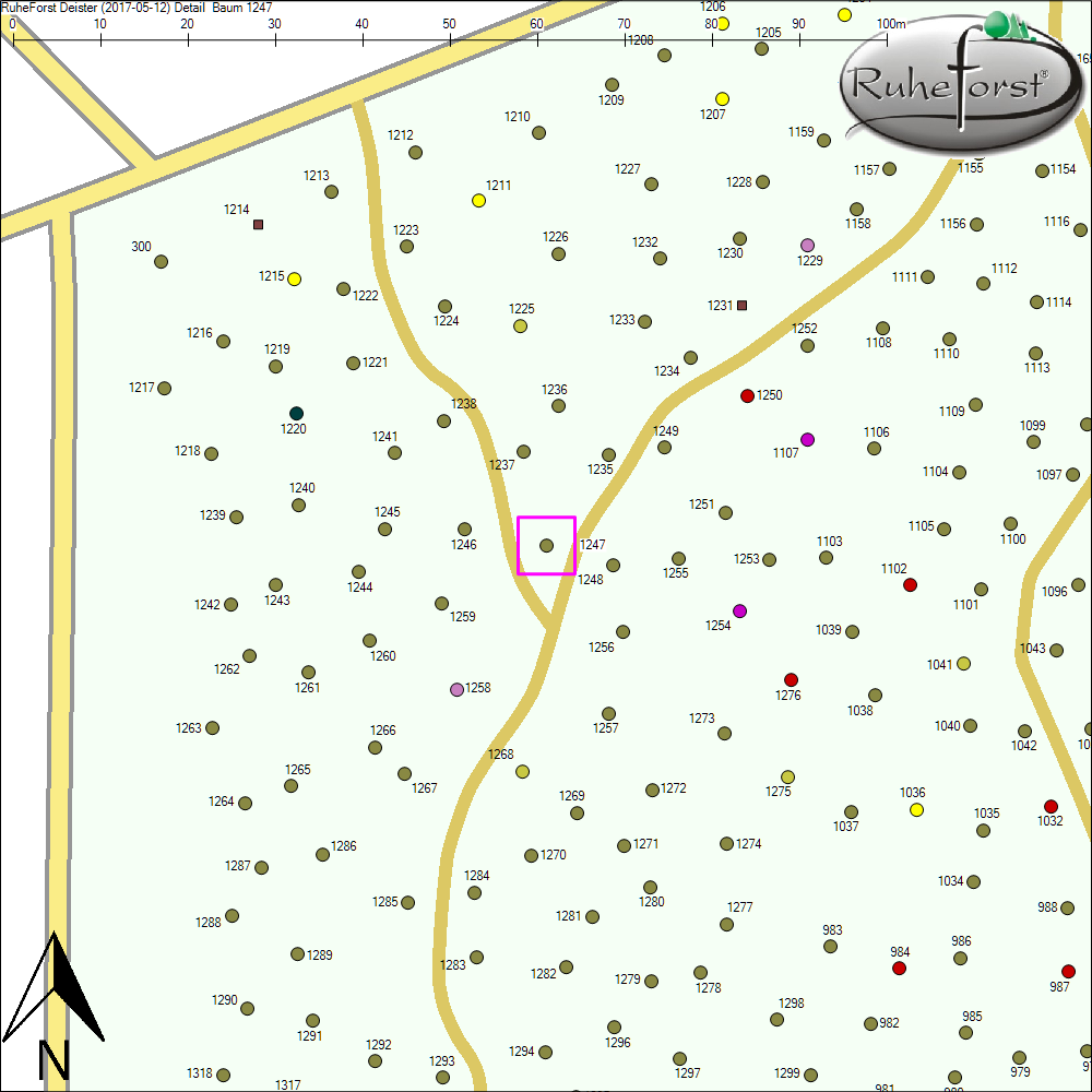 Detailkarte zu Baum 1247