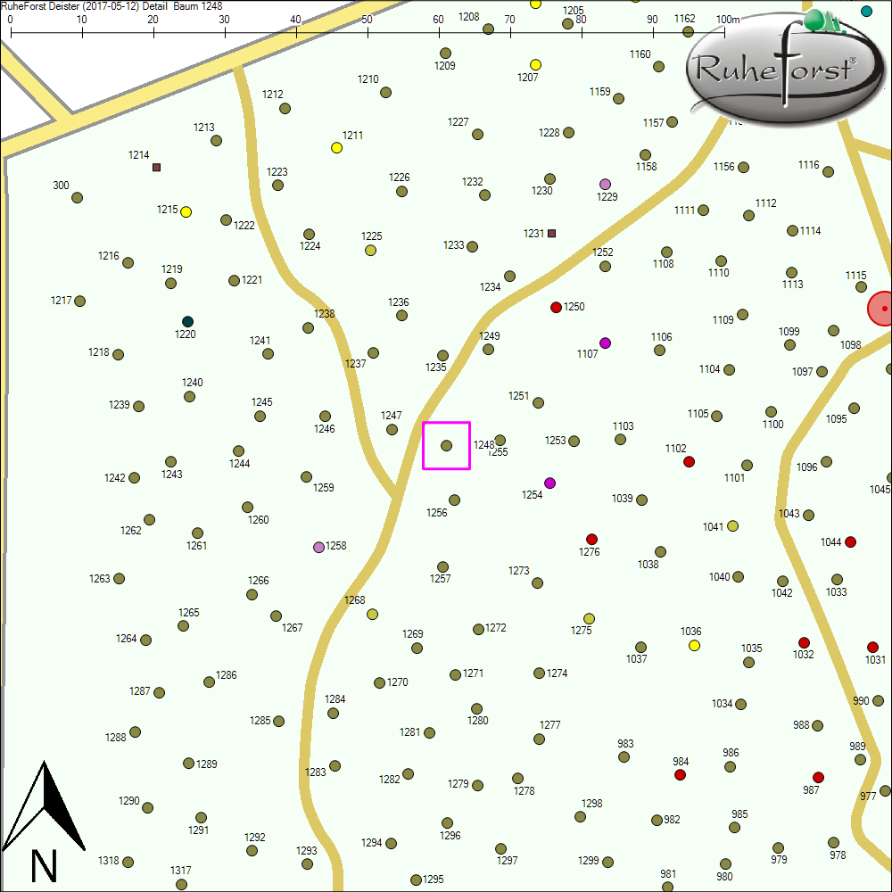 Detailkarte zu Baum 1248
