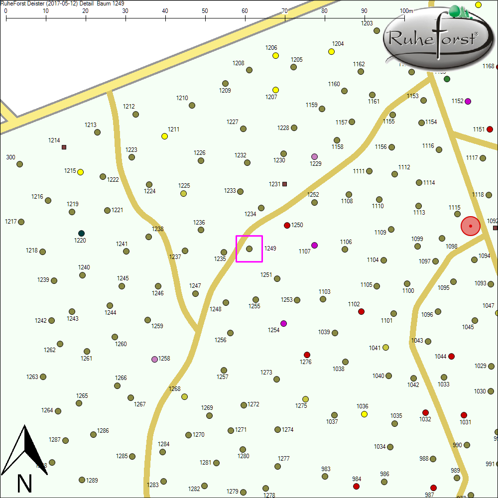 Detailkarte zu Baum 1249