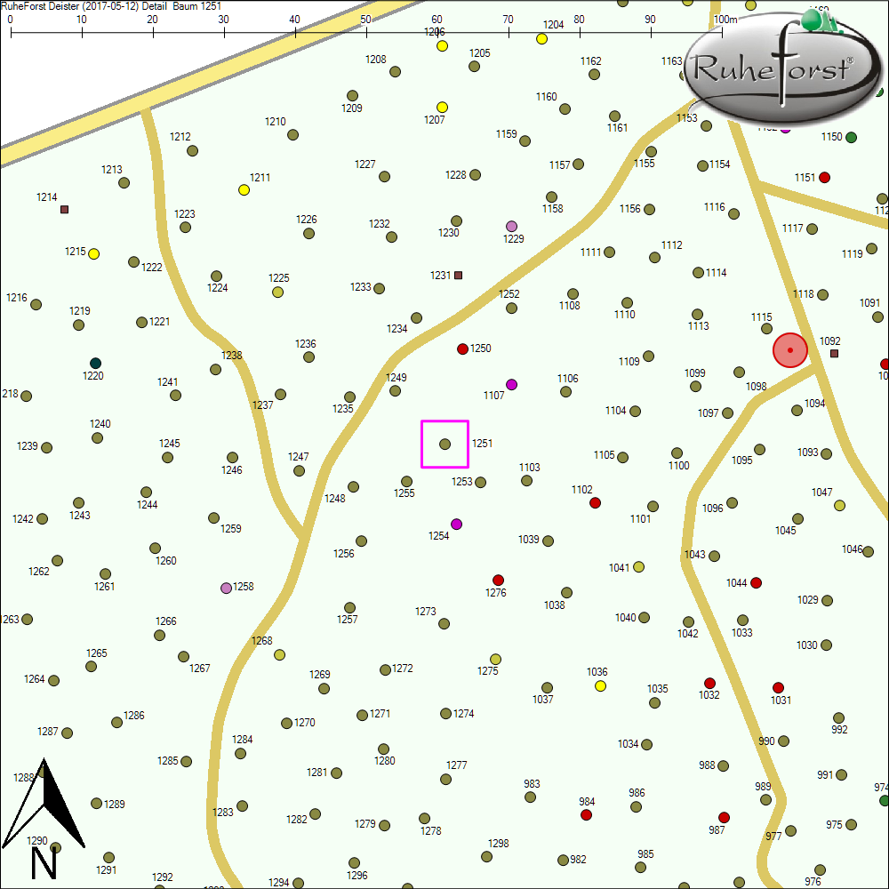 Detailkarte zu Baum 1251