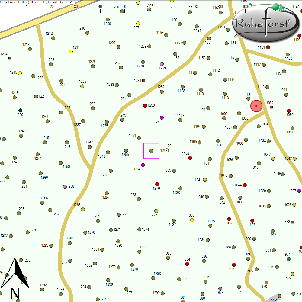 Detailkarte zu Baum 1253