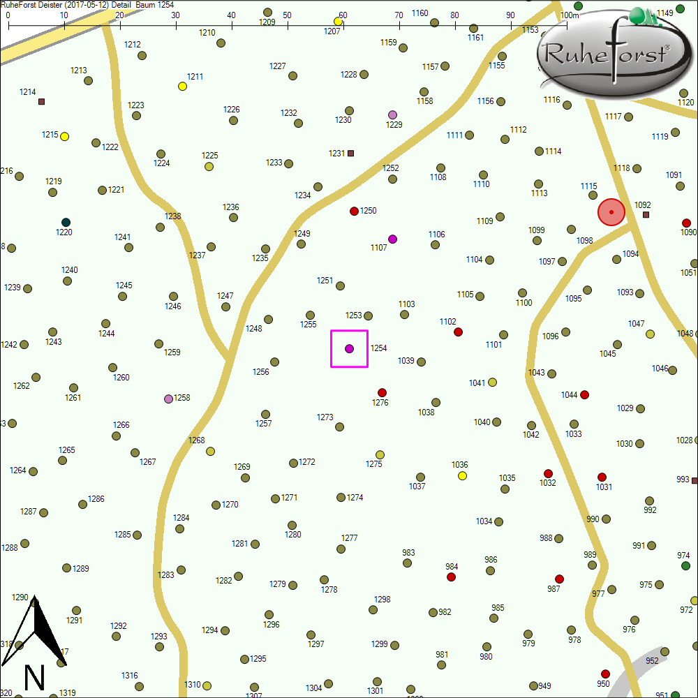 Detailkarte zu Baum 1254