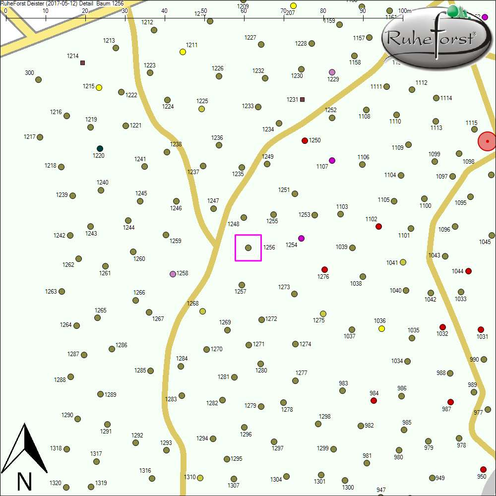 Detailkarte zu Baum 1256