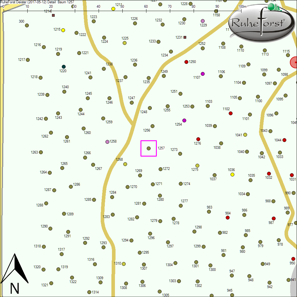 Detailkarte zu Baum 1257