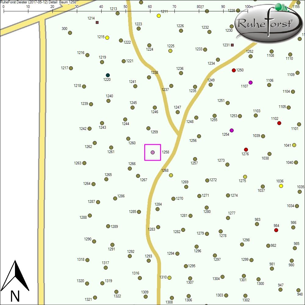 Detailkarte zu Baum 1258