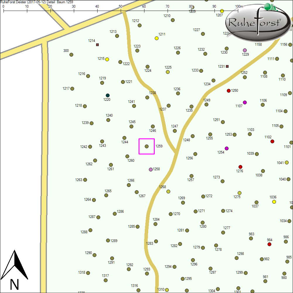 Detailkarte zu Baum 1259