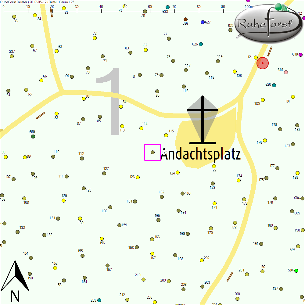 Detailkarte zu Baum 125