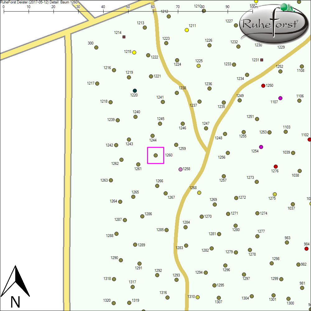 Detailkarte zu Baum 1260