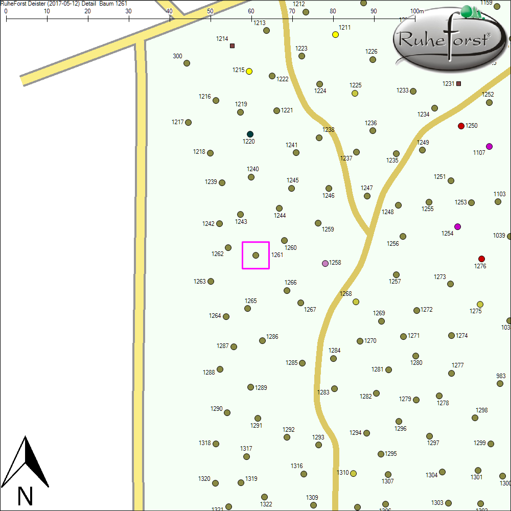 Detailkarte zu Baum 1261